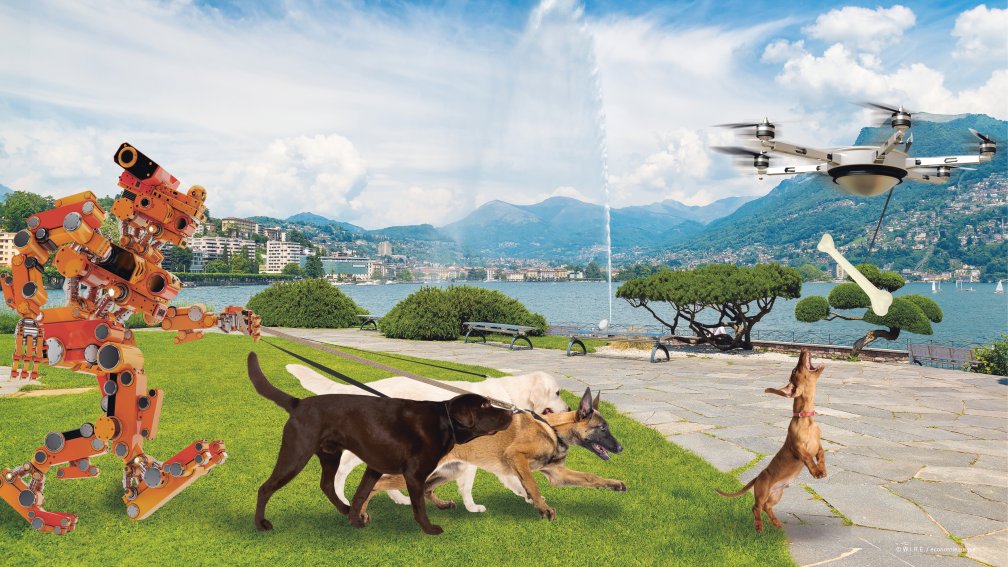 Chiens et robot