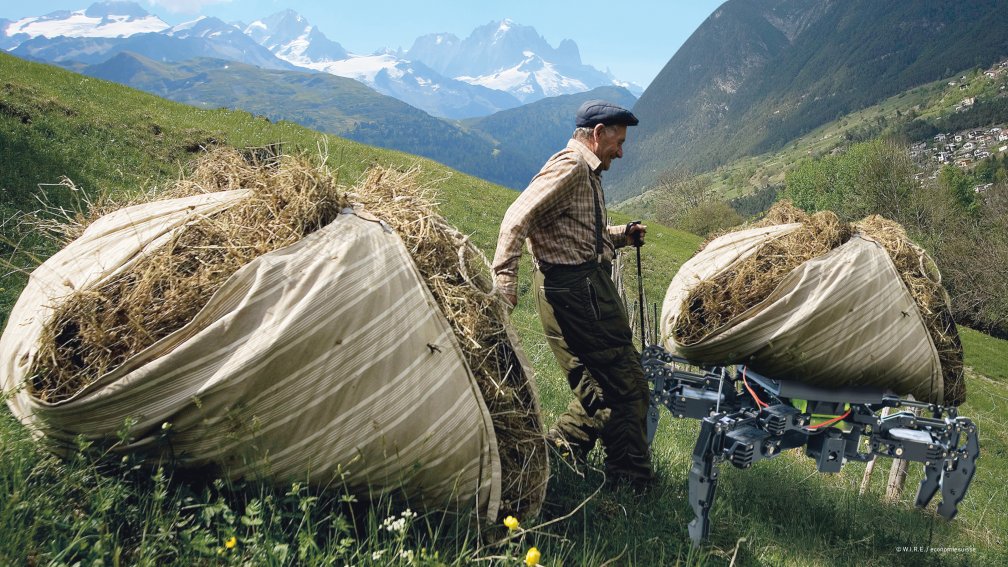 Mann auf Alp