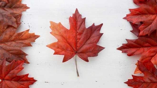 Feuille d'érable