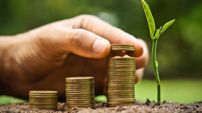 economica verde