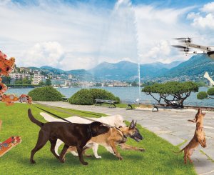 Chiens et robot