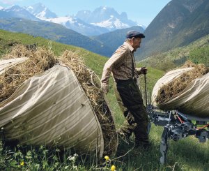 Mann auf Alp